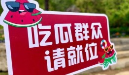 2024年免费吃瓜,全民共享的夏日狂欢