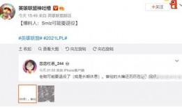 卢大嘴爆料真假视频大全,真假视频大盘点