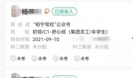 爆料练车视频下载免费,免费下载带你轻松掌握驾驶技巧